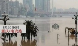 重庆洪水最新爆料消息,城区告急，抗洪救援全面展开