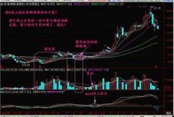 庄家酒后爆料视频大全,独家爆料视频大全深度解析